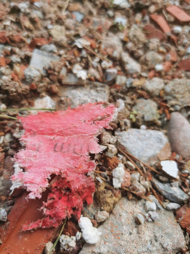 Abfall2