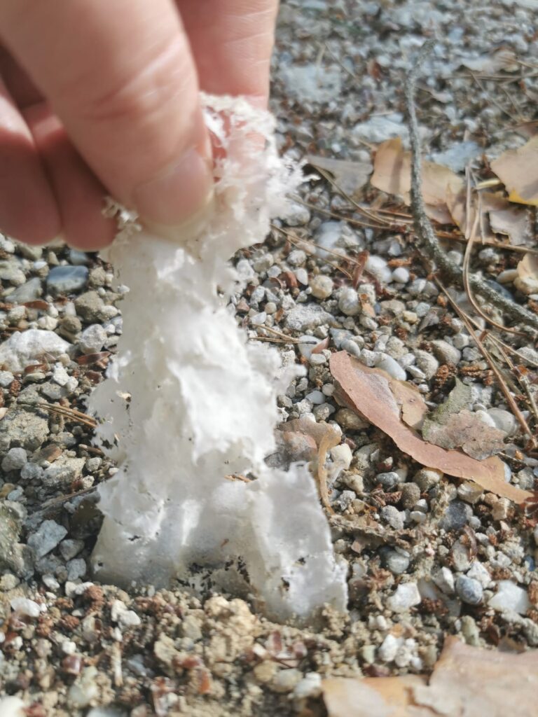 Abfall5